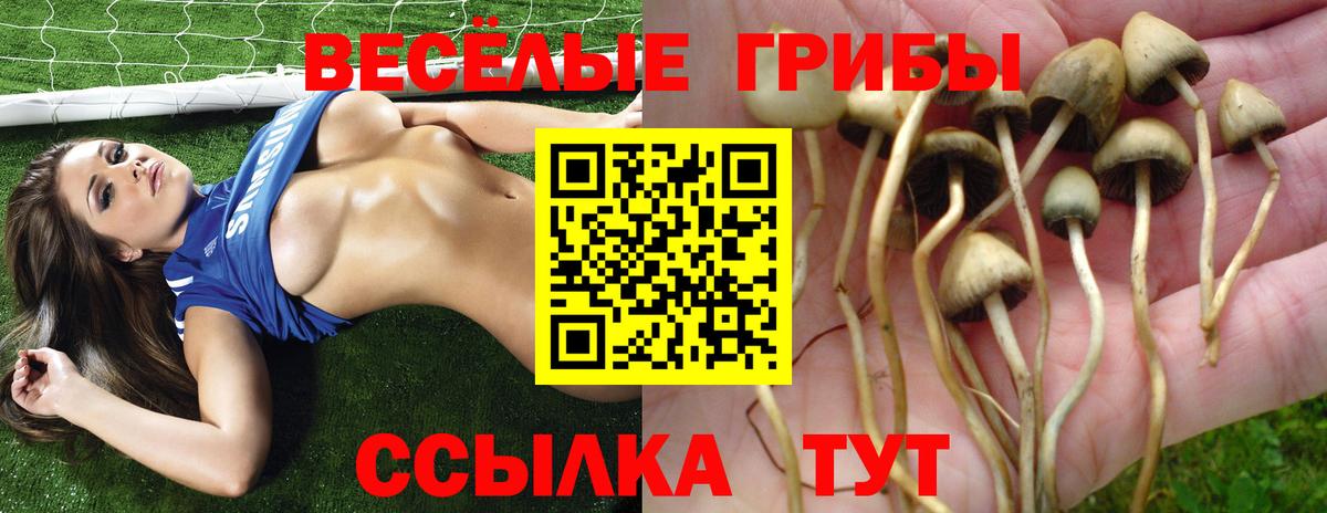 Псилоцибиновые грибы мухоморы Кузнецк
