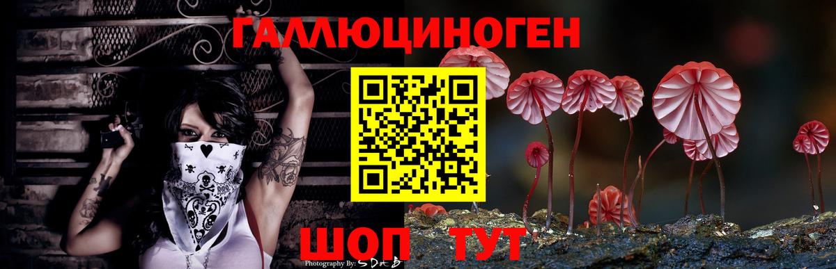 Кузнецк  Псилоцибиновые грибы GOLDEN TEACHER  Вход с VPN 
